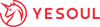 Yesoul Fitness Business