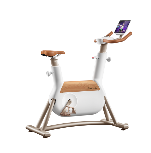 Bicicleta de ejercicios Bluetooth YESOUL R6 