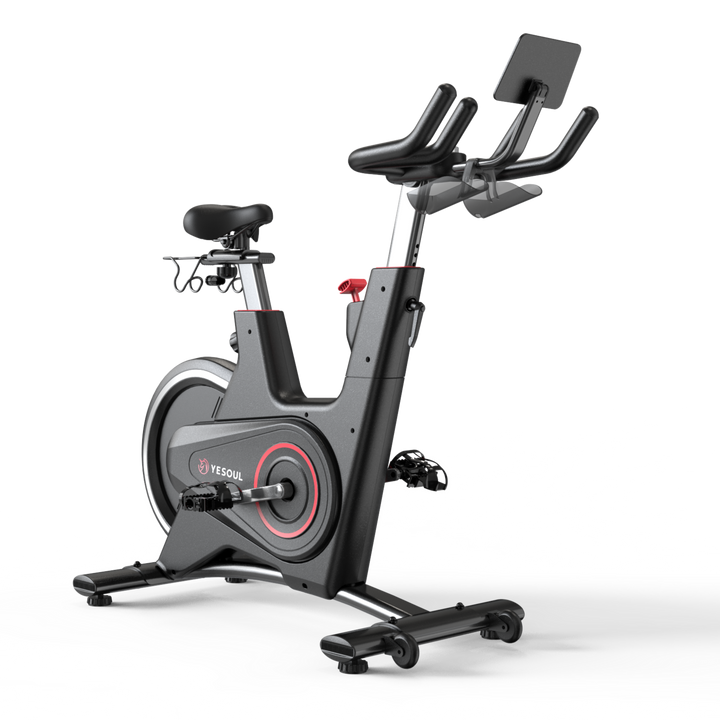 Lifetime spin matrice bike