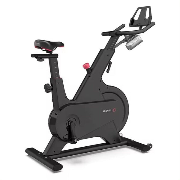 YESOUL M1 Indoor Exercise Bike