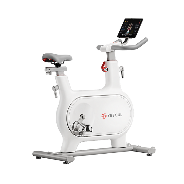 Bicicleta de ejercicios Bluetooth YESOUL M2M 